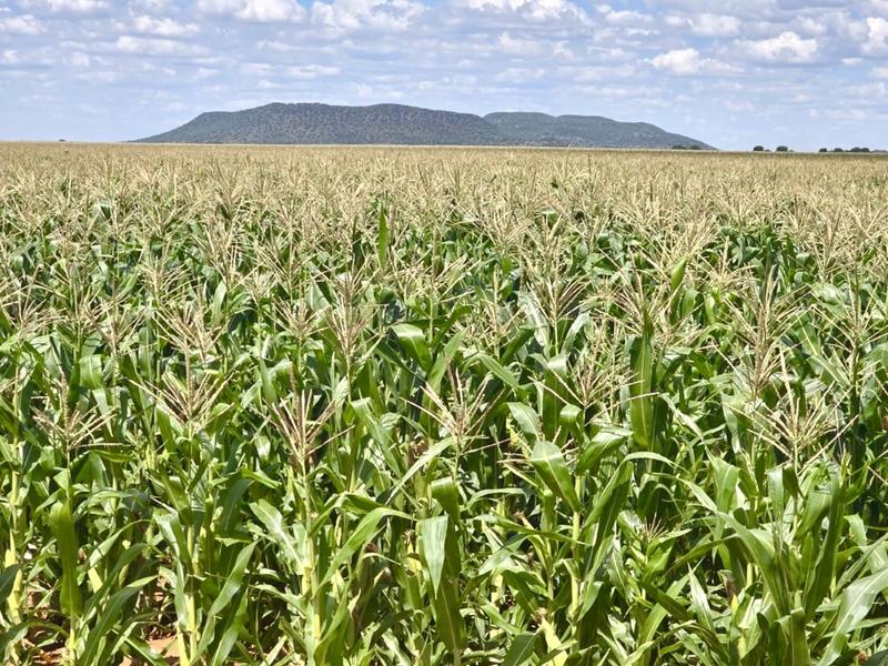 0 Bedroom Property for Sale in Bloemfontein Rural Free State